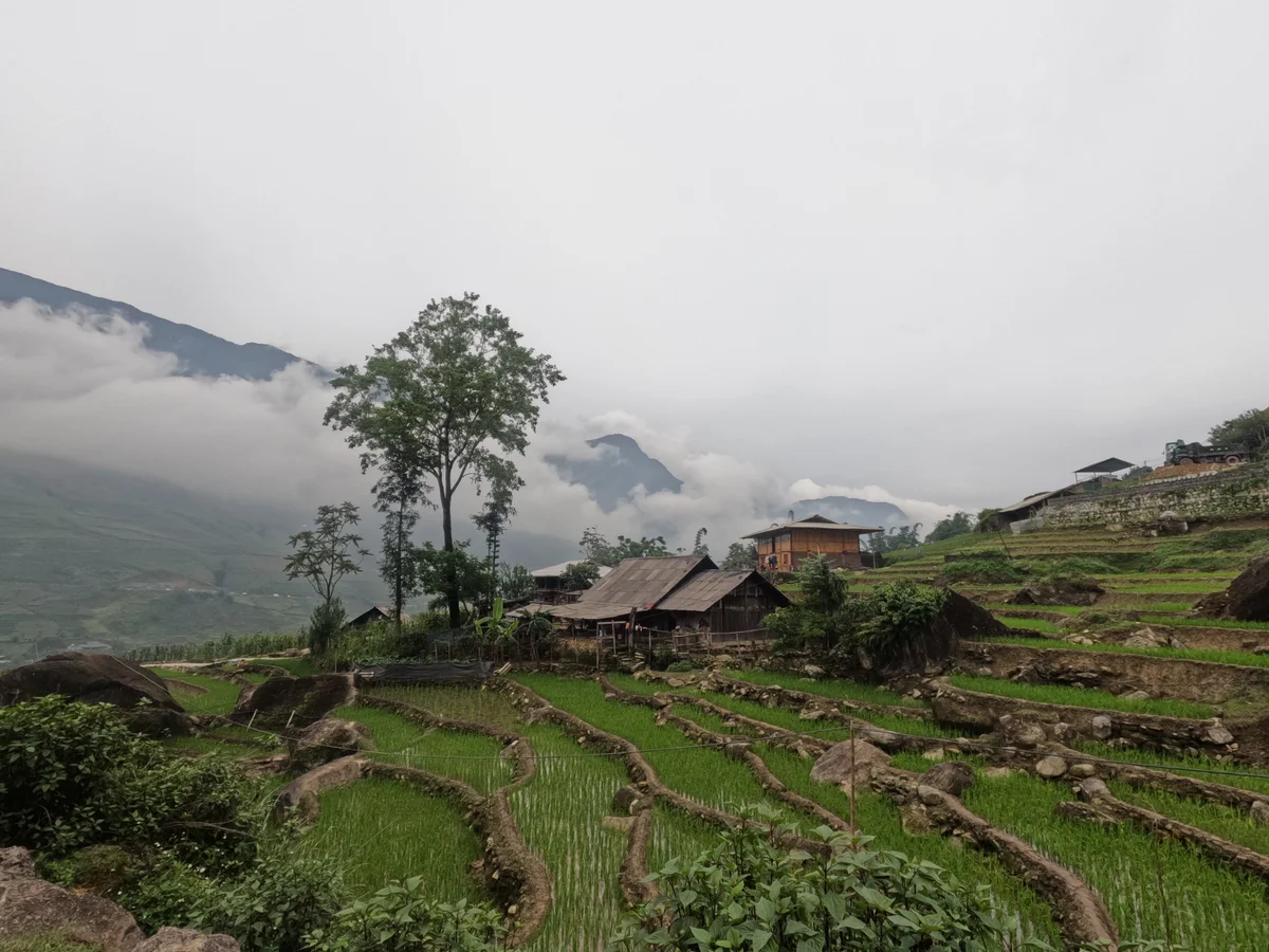 Sapa 2 days 1 night full trekking - Image 1