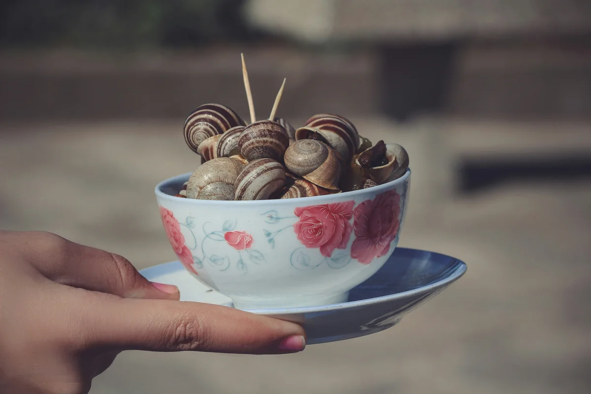 A hand carried a bowl of snails