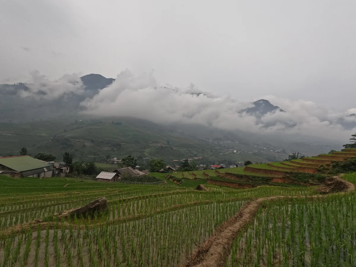 Misty landscape with rice fields and trekking pathways