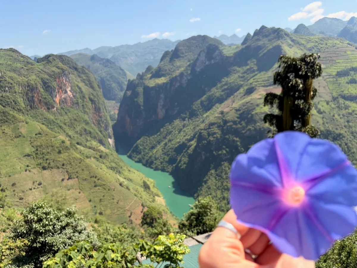 New Ha Giang Loop Tours for 2026: Celebrating 10 Years of Bong Hostel's Adventure