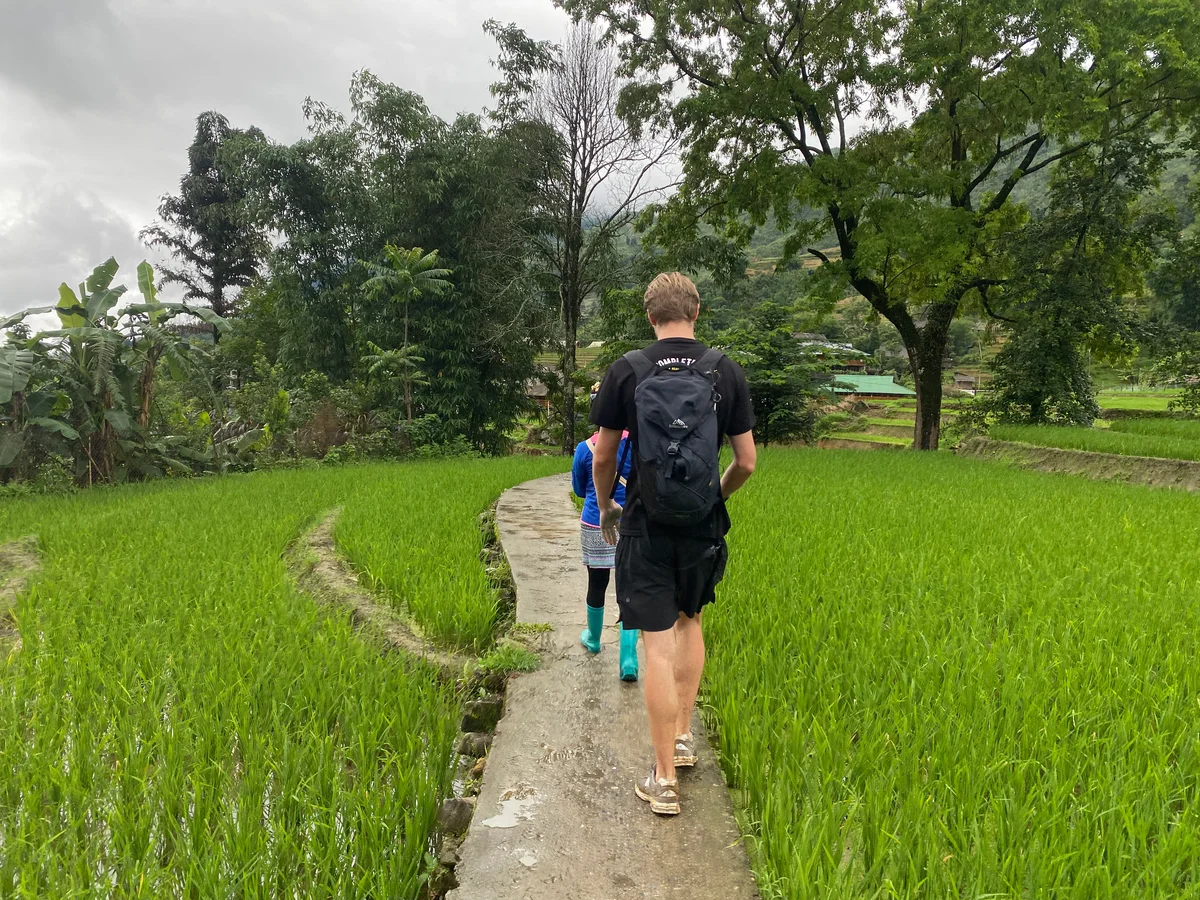 Two people walking on a path through rice fields
