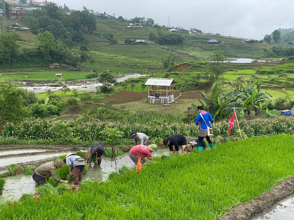 Your trekking tour in Sapa with Bong Hostel
