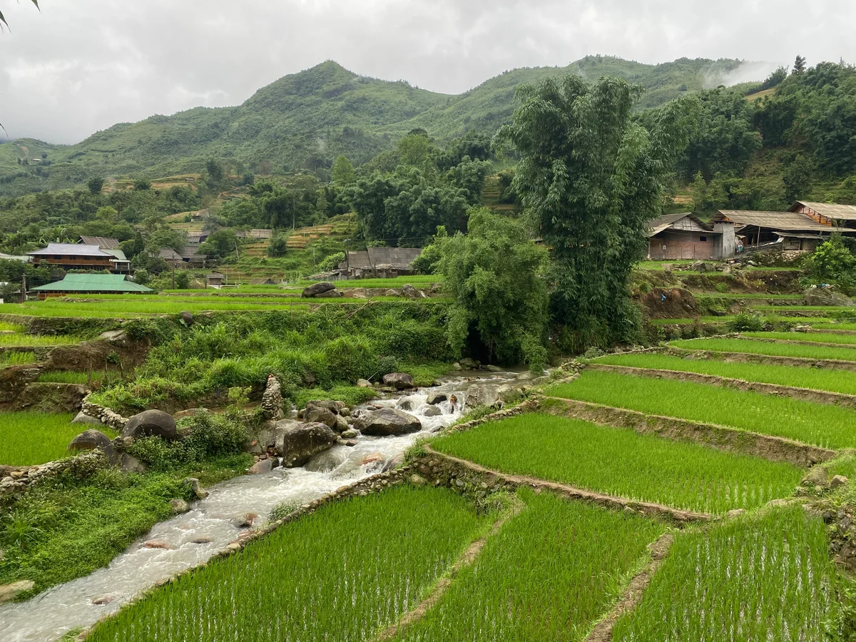 Join Bong Hostel for the Best Hiking Trails in Sapa in 2024