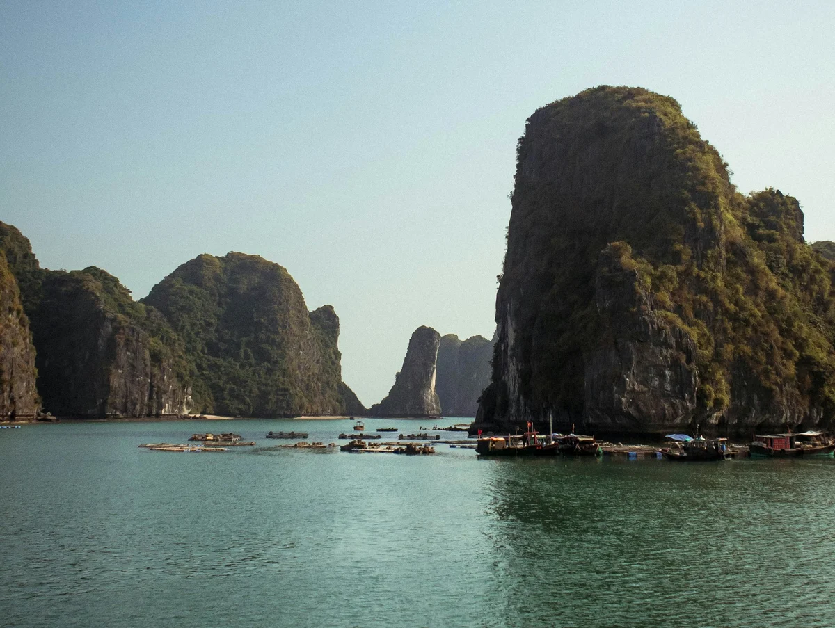 Enjoy the beauty of Ha Long Bay when you Take a cruise with Bong Hostel
