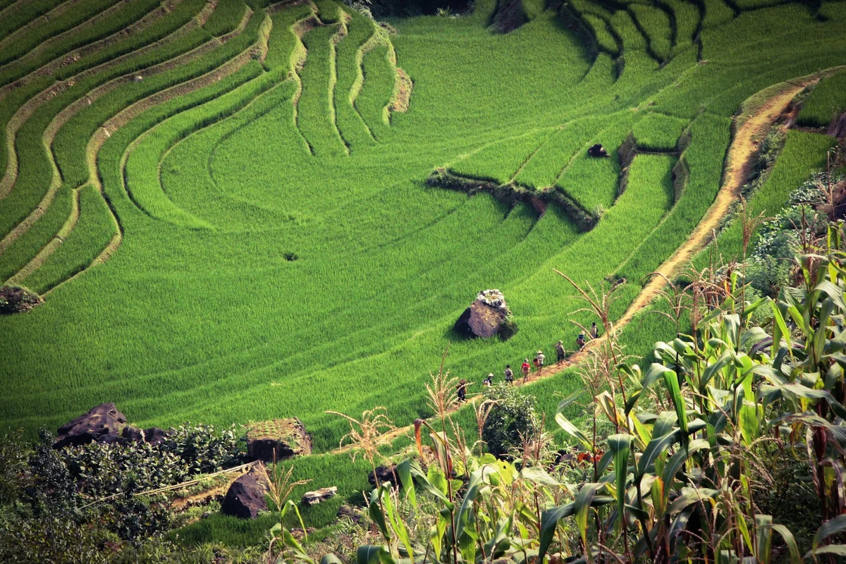 Take a combo tour to Sapa when Planning the Ha Giang Loop