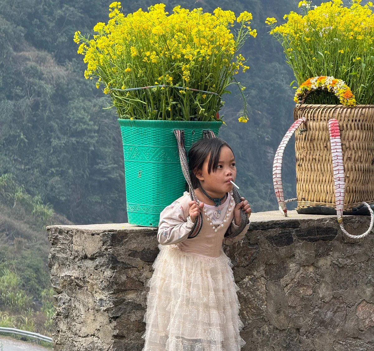 Young girl sucks on a lollipop and carries a basket of flowers at the Tham Ma Pass