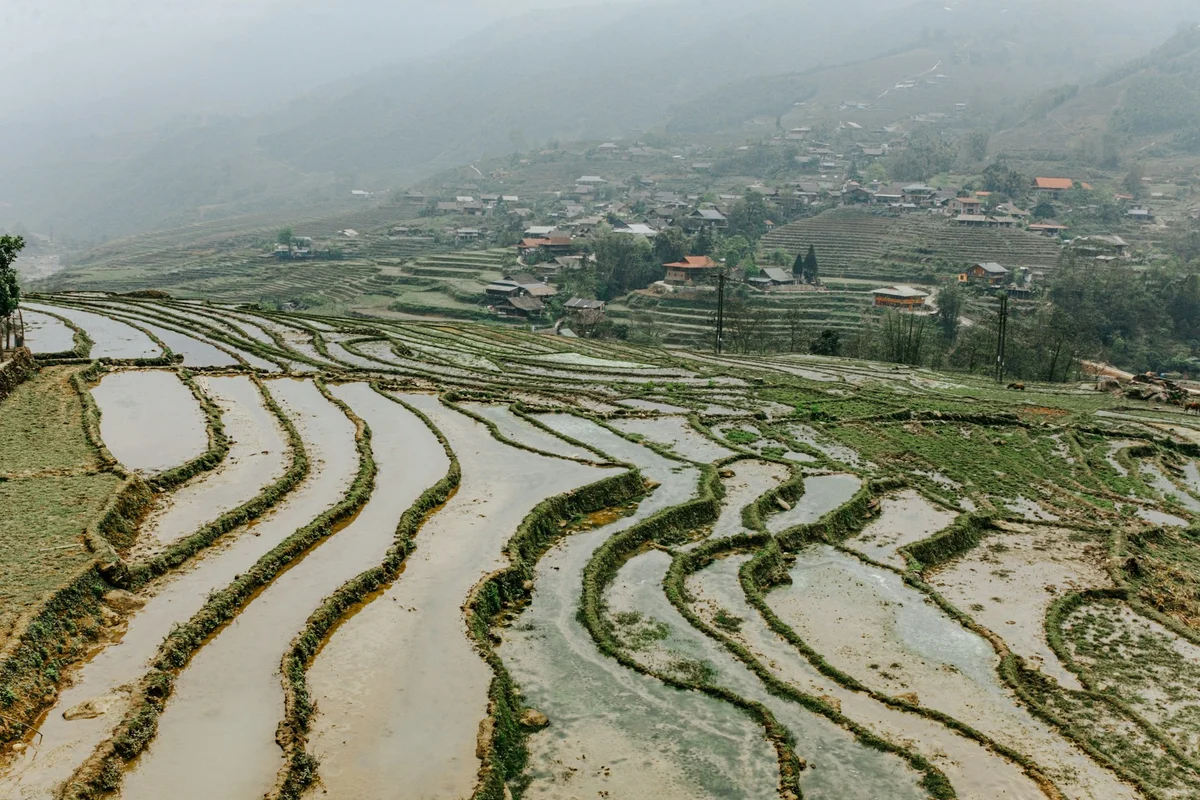 Flooded rice terraces in Sapa