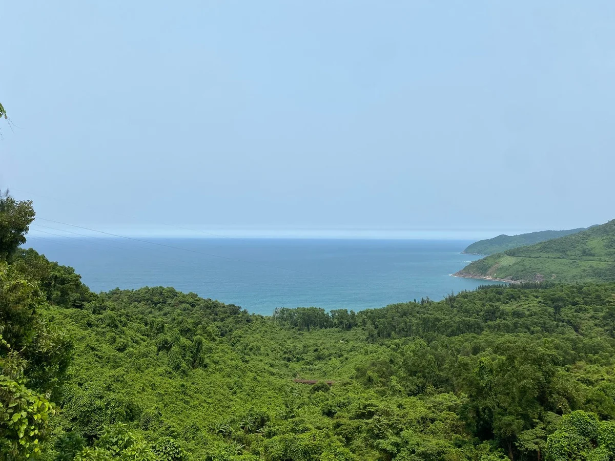 Phu Loc, Lang Co, Vietnam view through trees