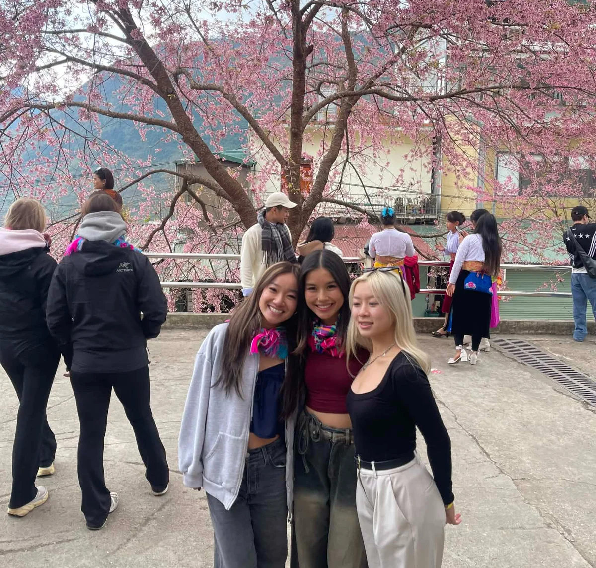 Three smiling women pose under cherry blossoms; others walk nearby. The setting is lively with a backdrop of pink blooms and a building.