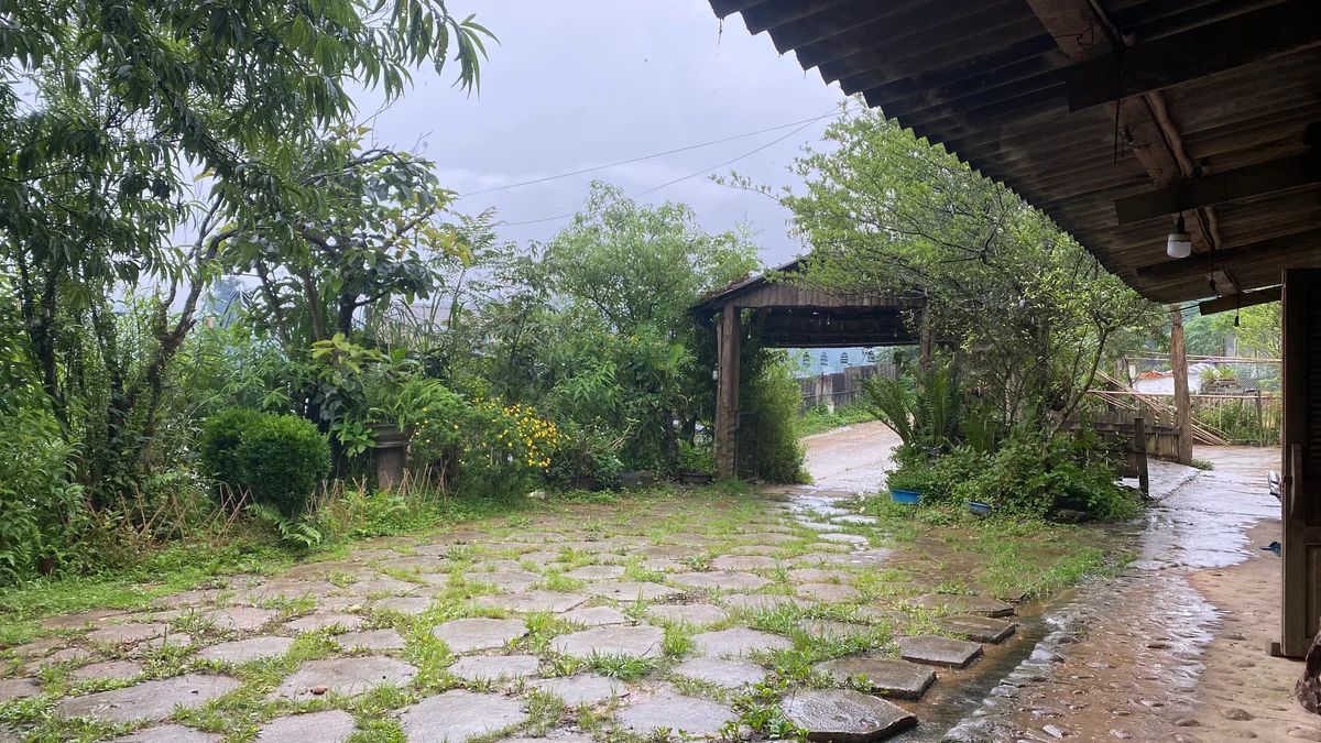 Join Bong Hostel for the Best Hiking Trails in Sapa in 2024