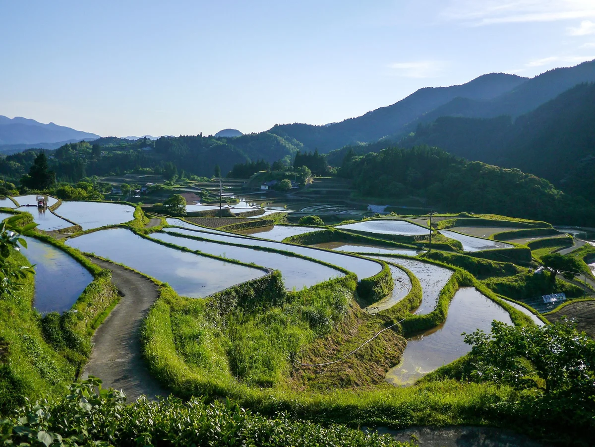 Flooded rice terraces in Sapa