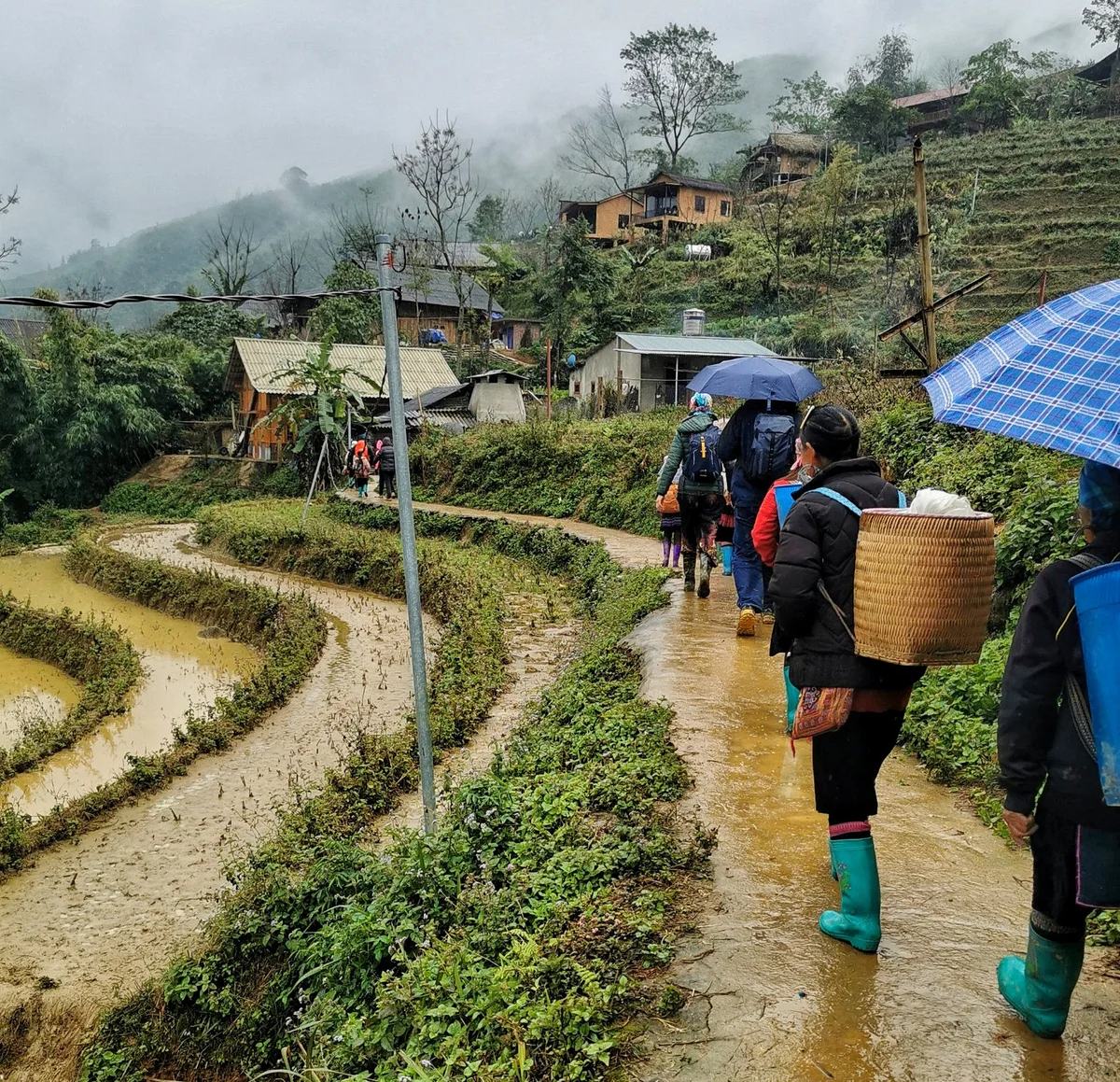 trekking in Sapa