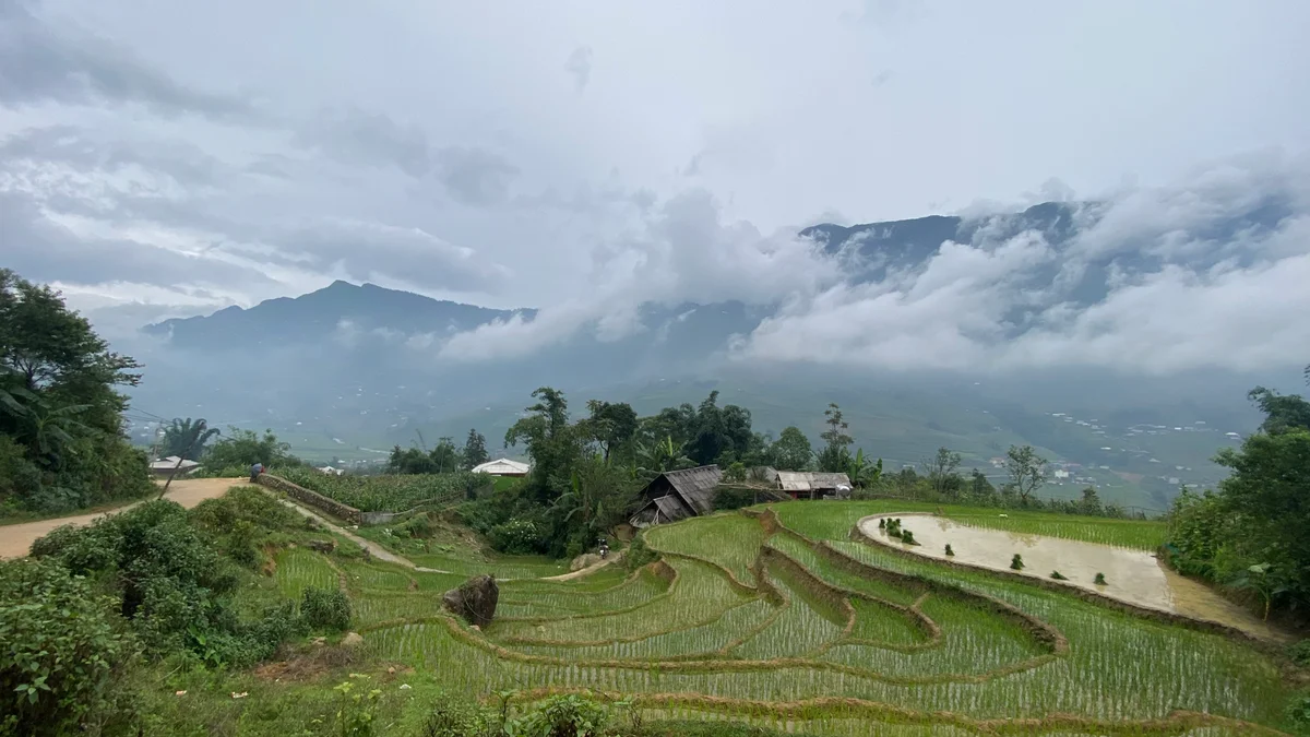 Spend New Year in Sapa