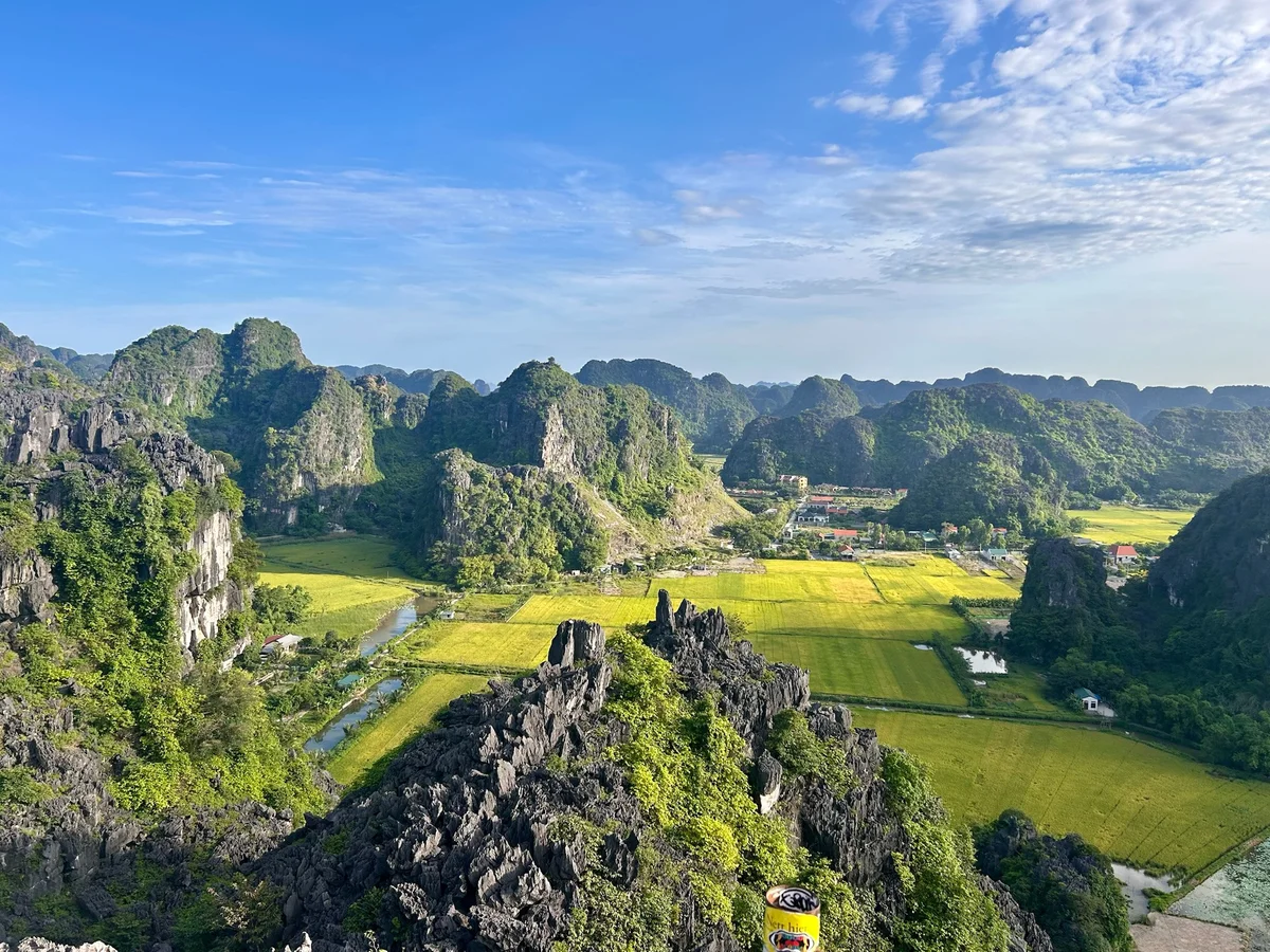 View over rice paddies, a town, and mountains