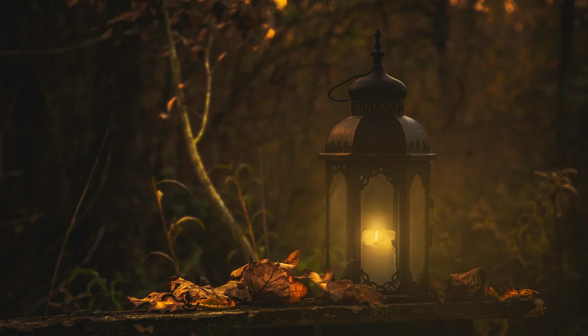 Lantern and leaves in woodland