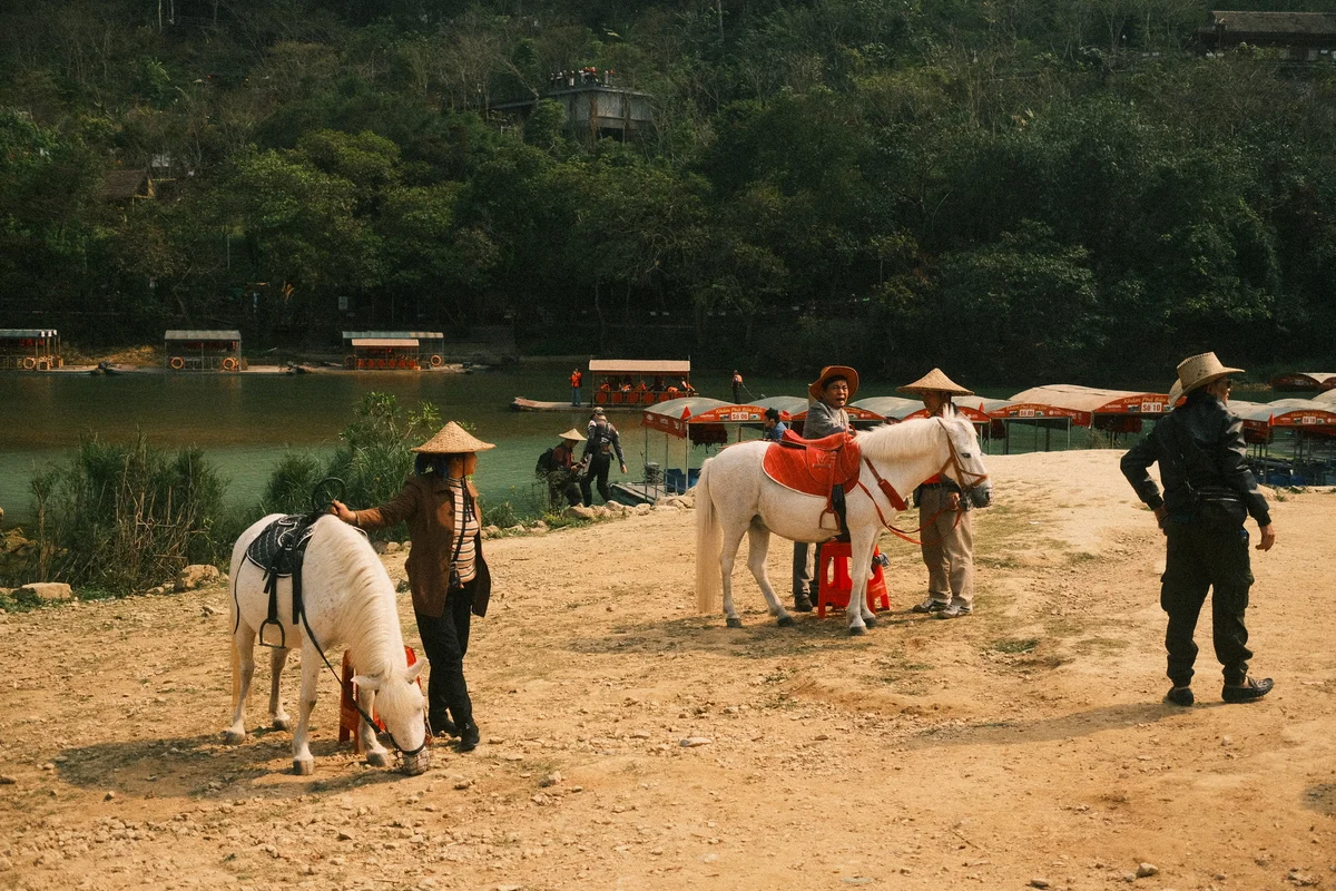 People with straw hats tending white horses near a river surrounded by green trees. Boats and life jackets visible in the background.