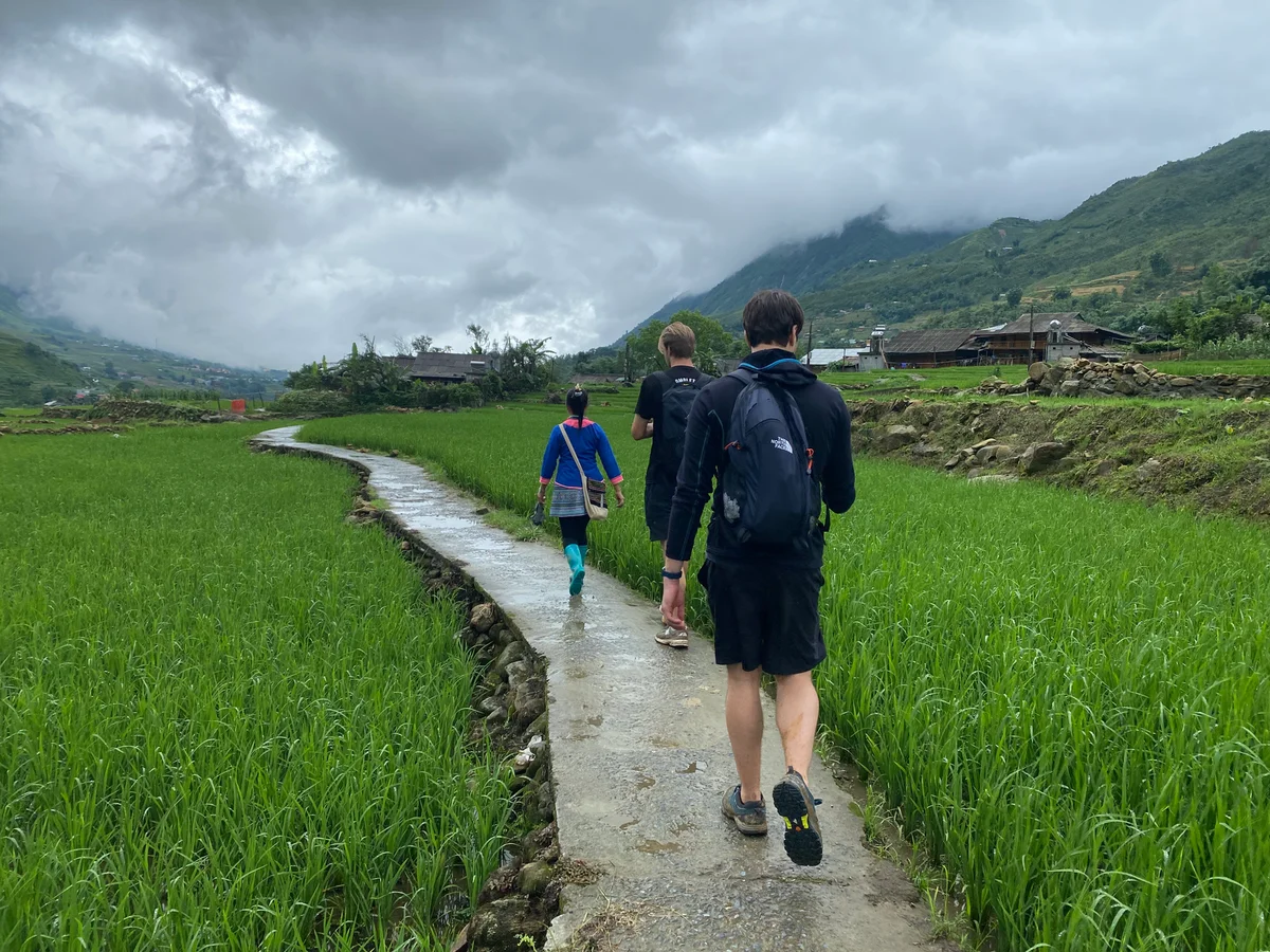 Bong Hostel guests trek through the rice fields of Sapa