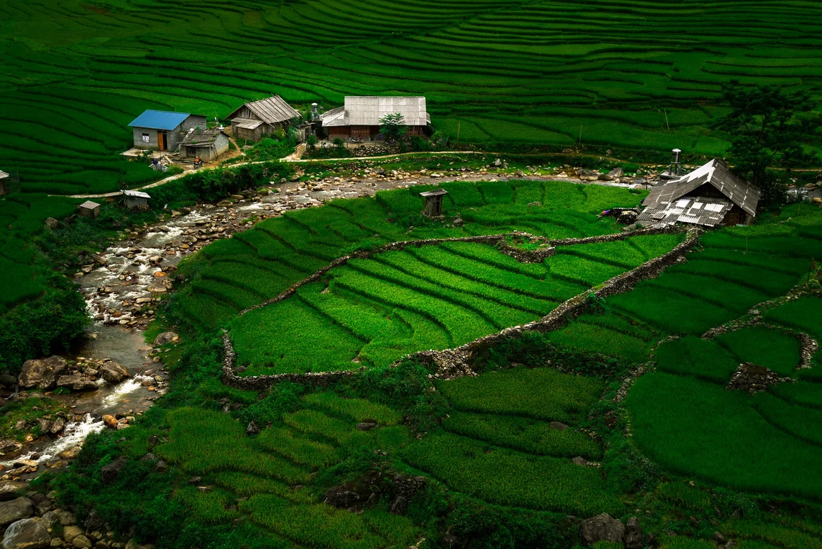 landscape of trekking in sapa