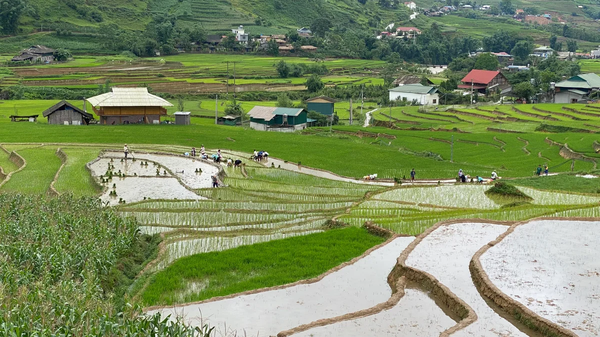 The flooded rice fields look like mirrors in Sapa during the water festival