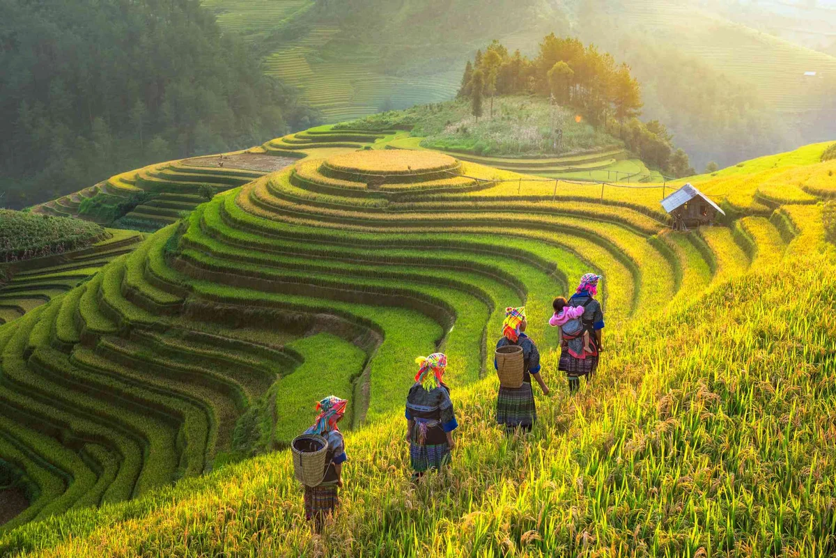 Five people in colorful attire walk along vibrant green terraced rice fields under soft sunlight. A small hut sits in the background.