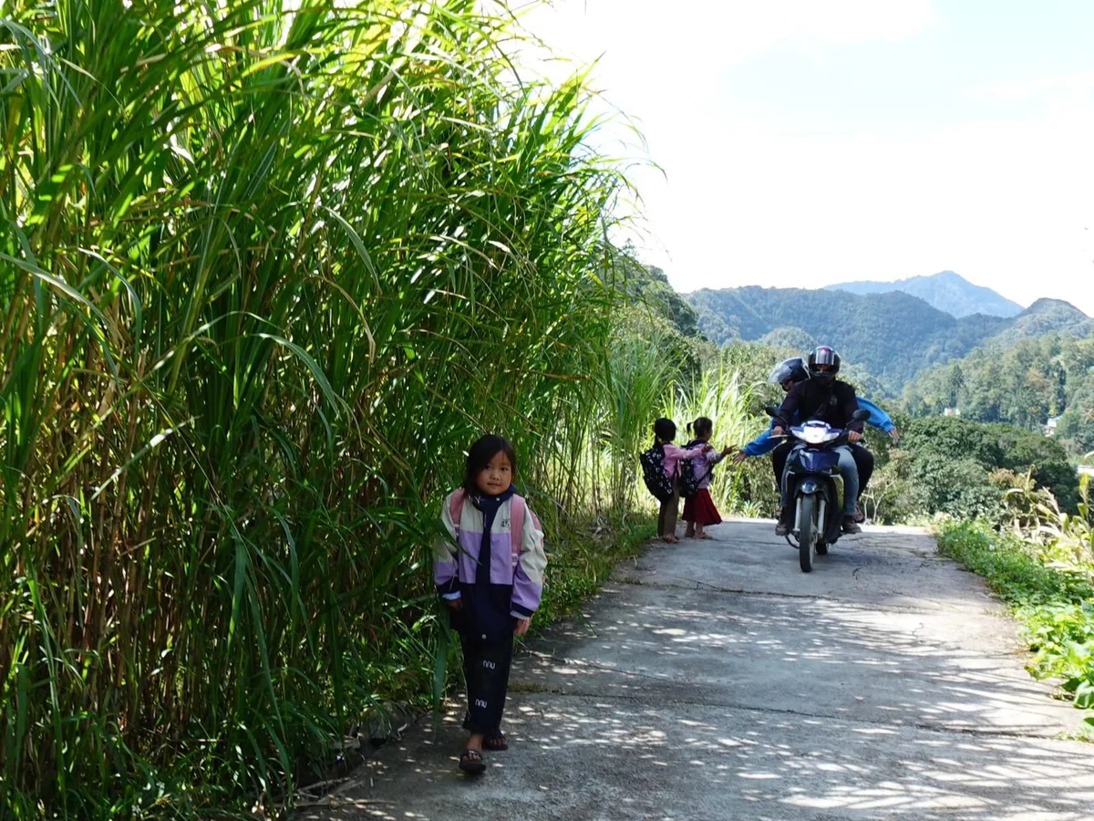 Child walking on a rural path beside tall grass. A motorcycle with two riders passes by, with mountains in the background. Bright, sunny day.