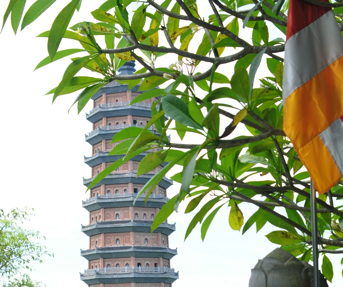 activities to do in Ninh Binh