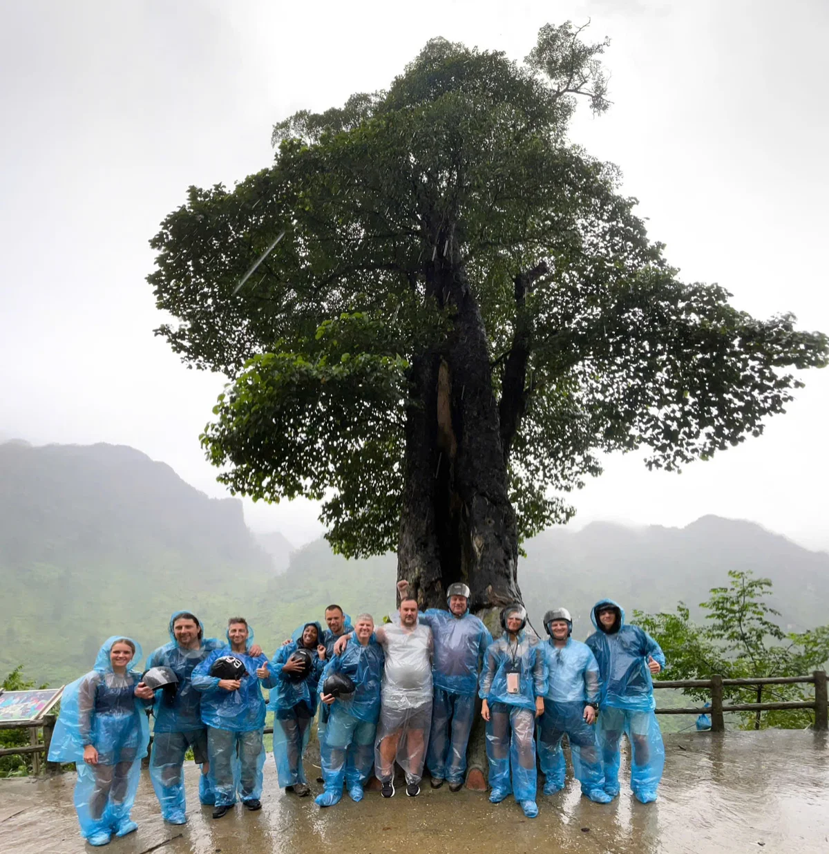 Group in blue rain ponchos poses under a large tree on a misty mountain day. Smiles and rainy weather create a joyful mood.