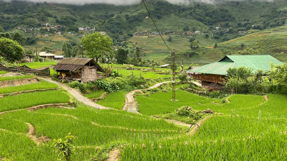 Houses right in the middle of a rice terrace with a network of pathways