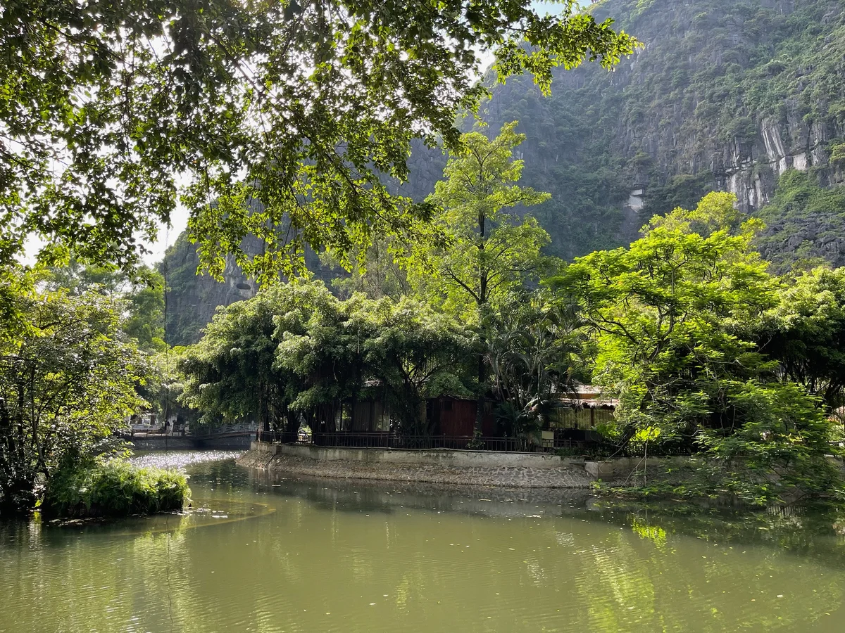 Trees and waterway with karst mountains behind