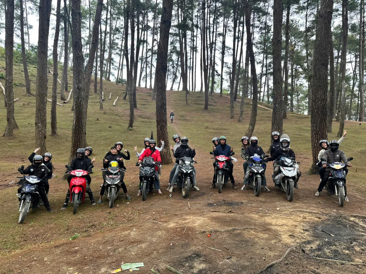 Group of people on motorbikes pose in a pine forest. They're smiling and making peace signs, exuding a joyful, adventurous vibe.