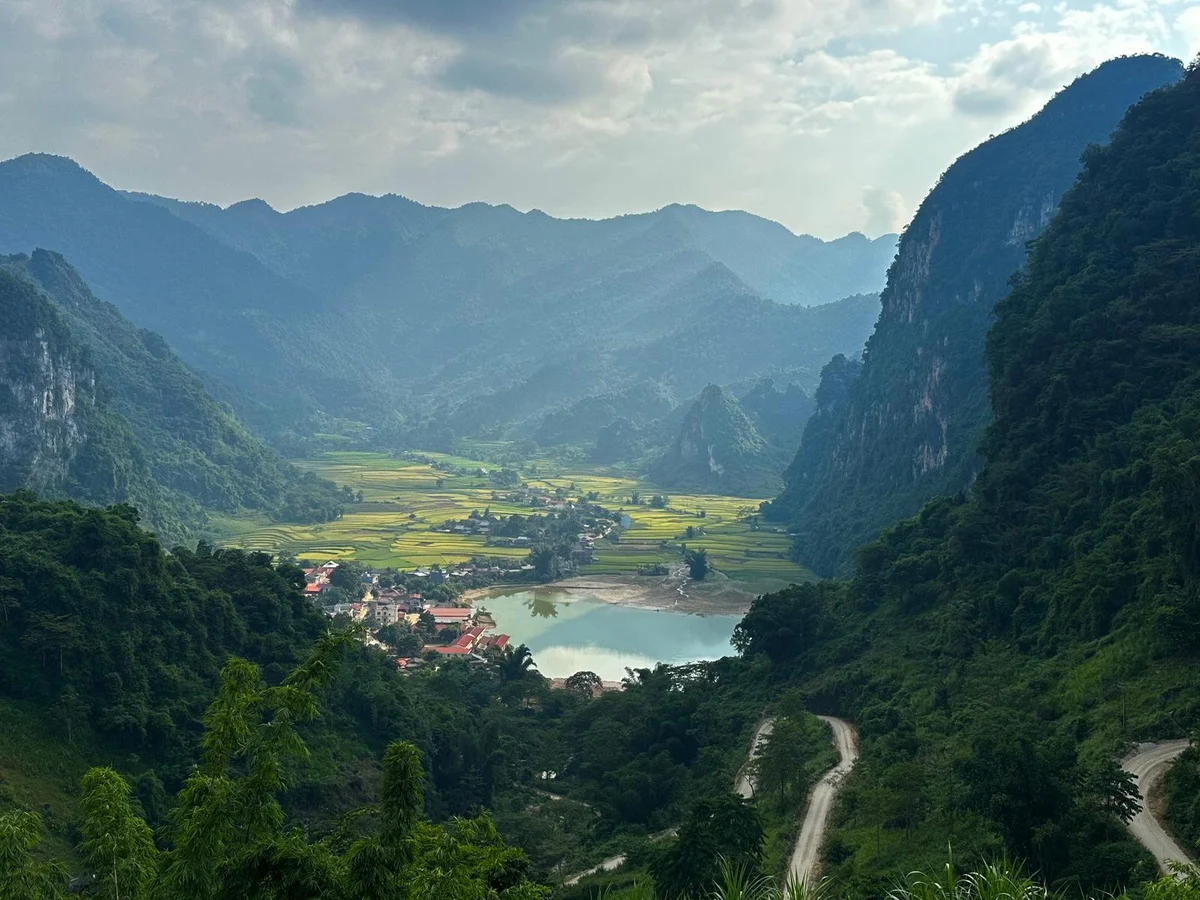A valley can be glimpsed between the trees and mountains