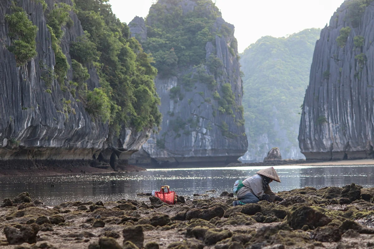 Person in a conical hat gathers on a rocky shore amid towering cliffs and trees. A red bag lies nearby. Tranquil and natural setting.