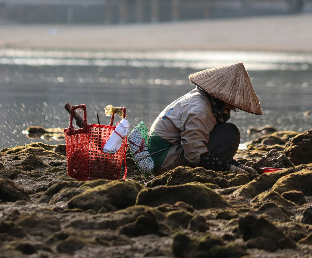 Perfect Time to Visit Cat Ba Island 