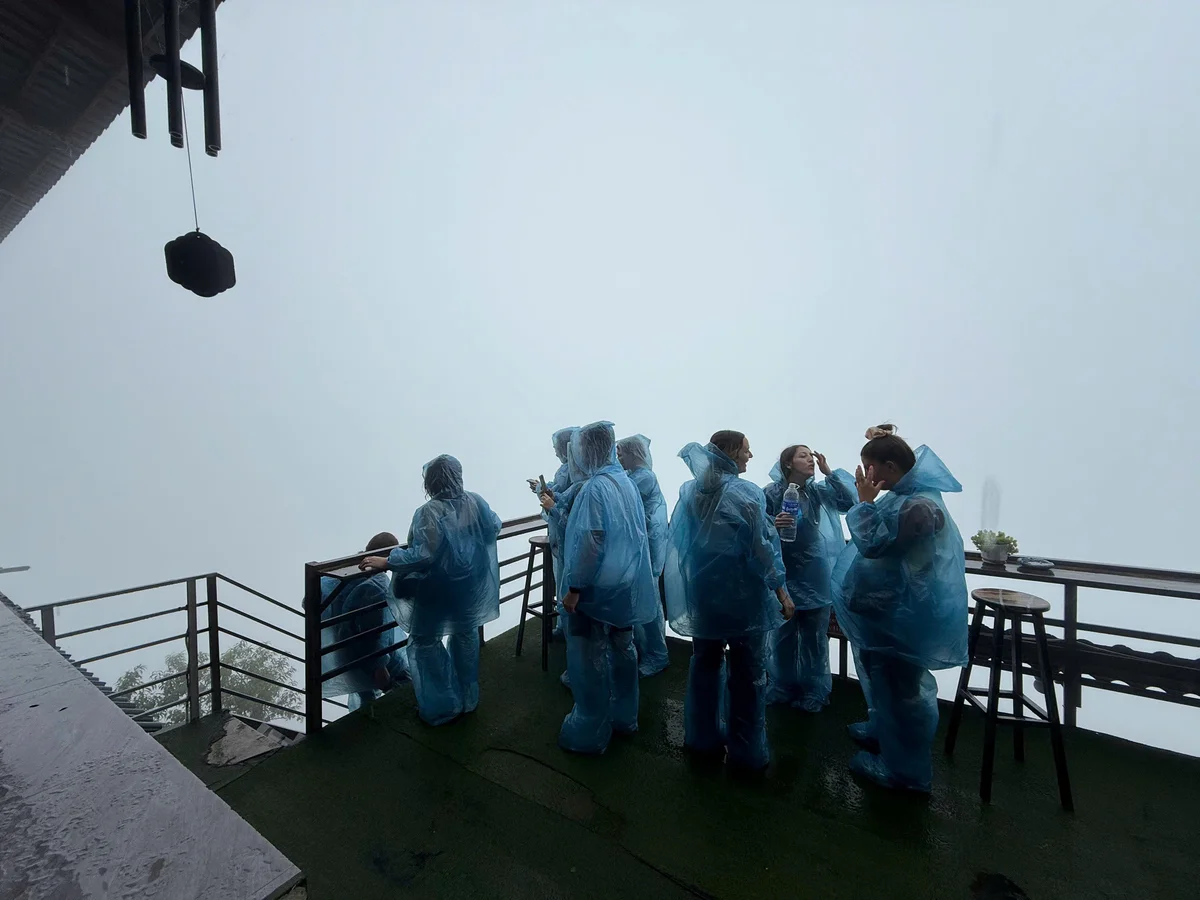 Group of people in ponchos look at a view of mist