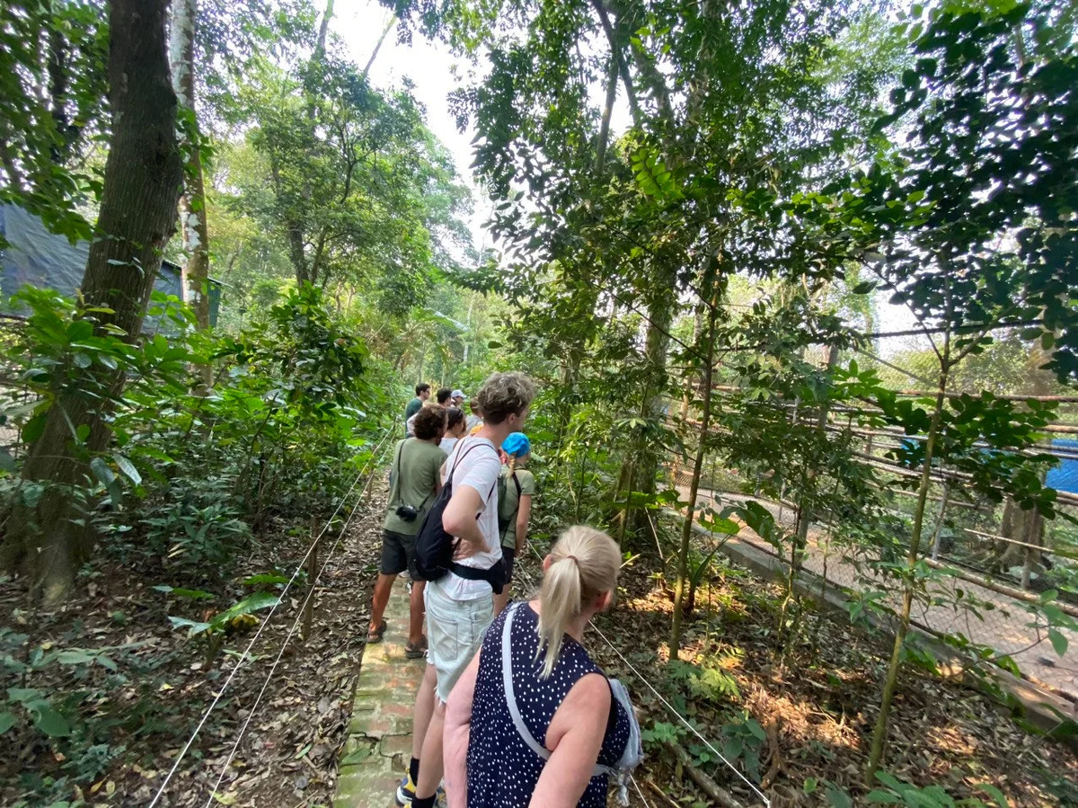 People walking through a forest in Ninh Binh