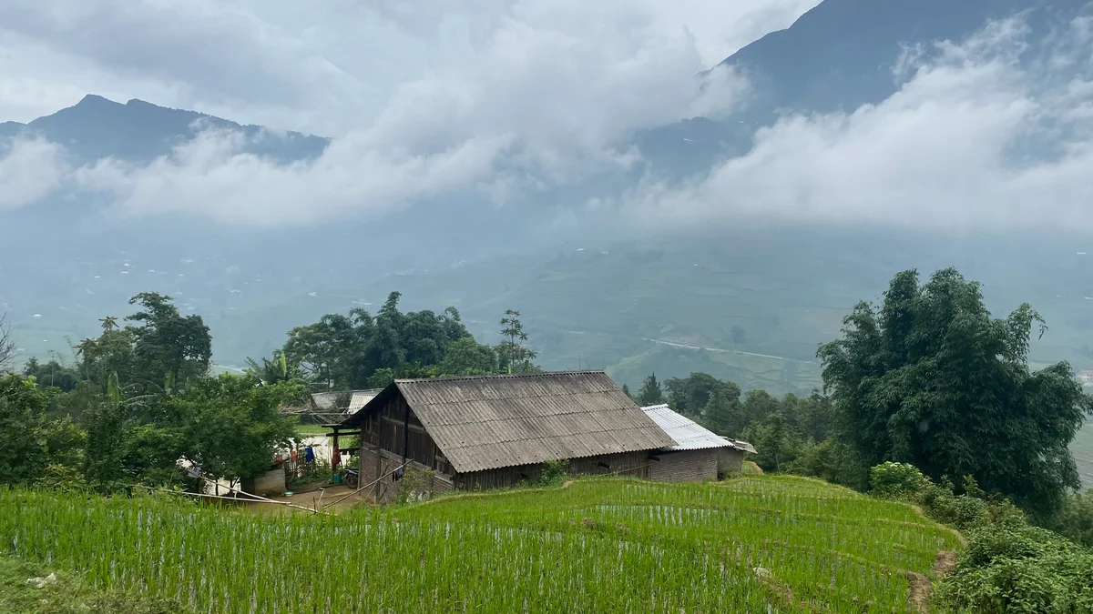 A rustic wooden house sits in lush green fields under a misty mountain backdrop. Dense foliage surrounds, creating a serene atmosphere.