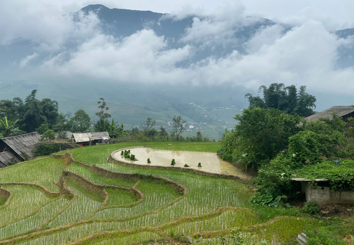 Join Bong Hostel for the Best Hiking Trails in Sapa in 2024