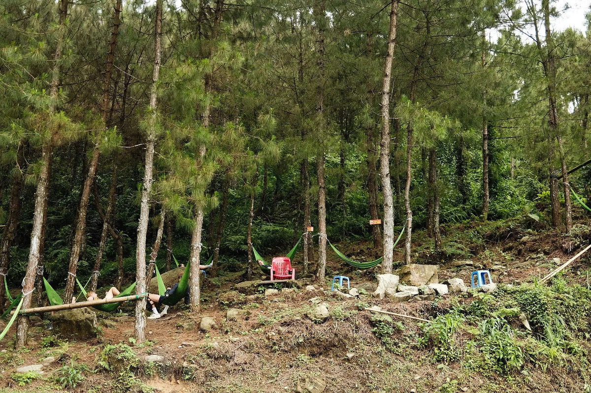 Hammocks strung between trees in a lush forest with people relaxing. A red chair and small blue stools are visible among the greenery.