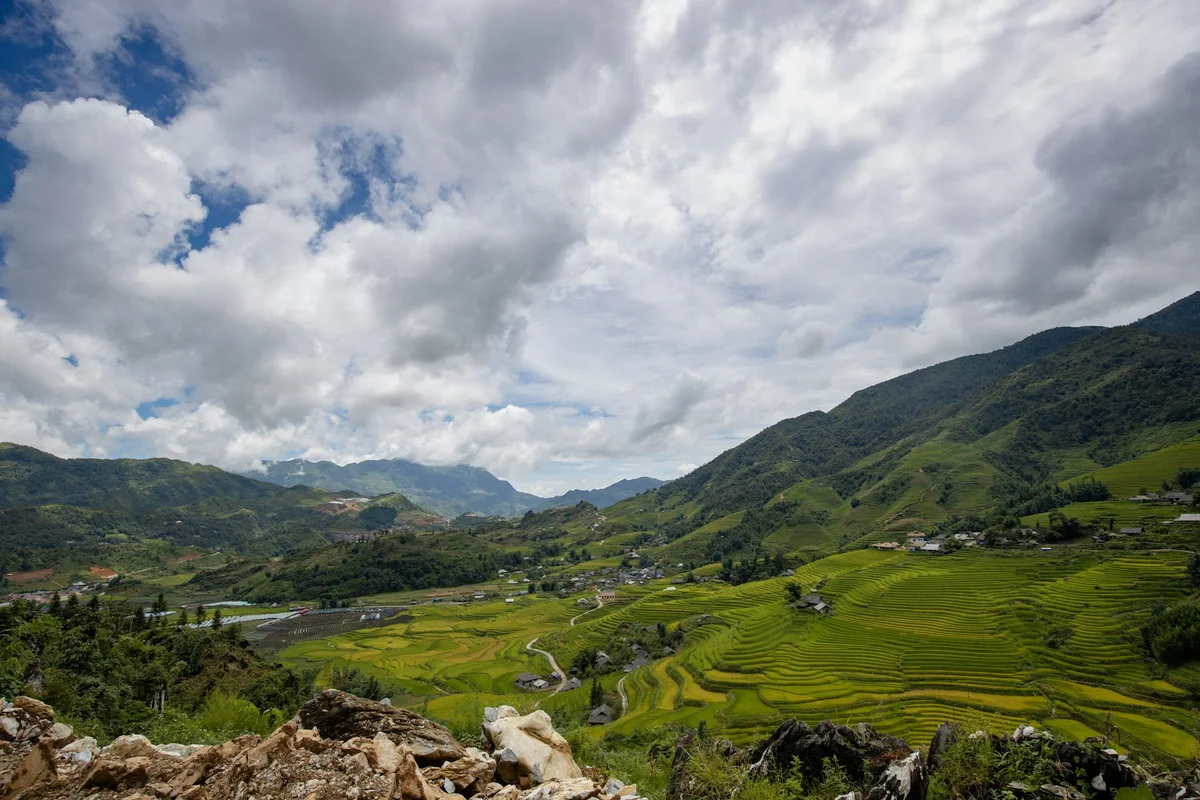 Terraced rice fields of Sapa