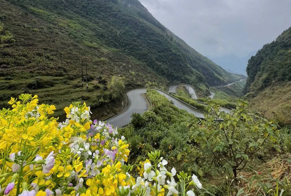 Witness winter landscapes on a Ha Giang Loop tour with Bong Hostel