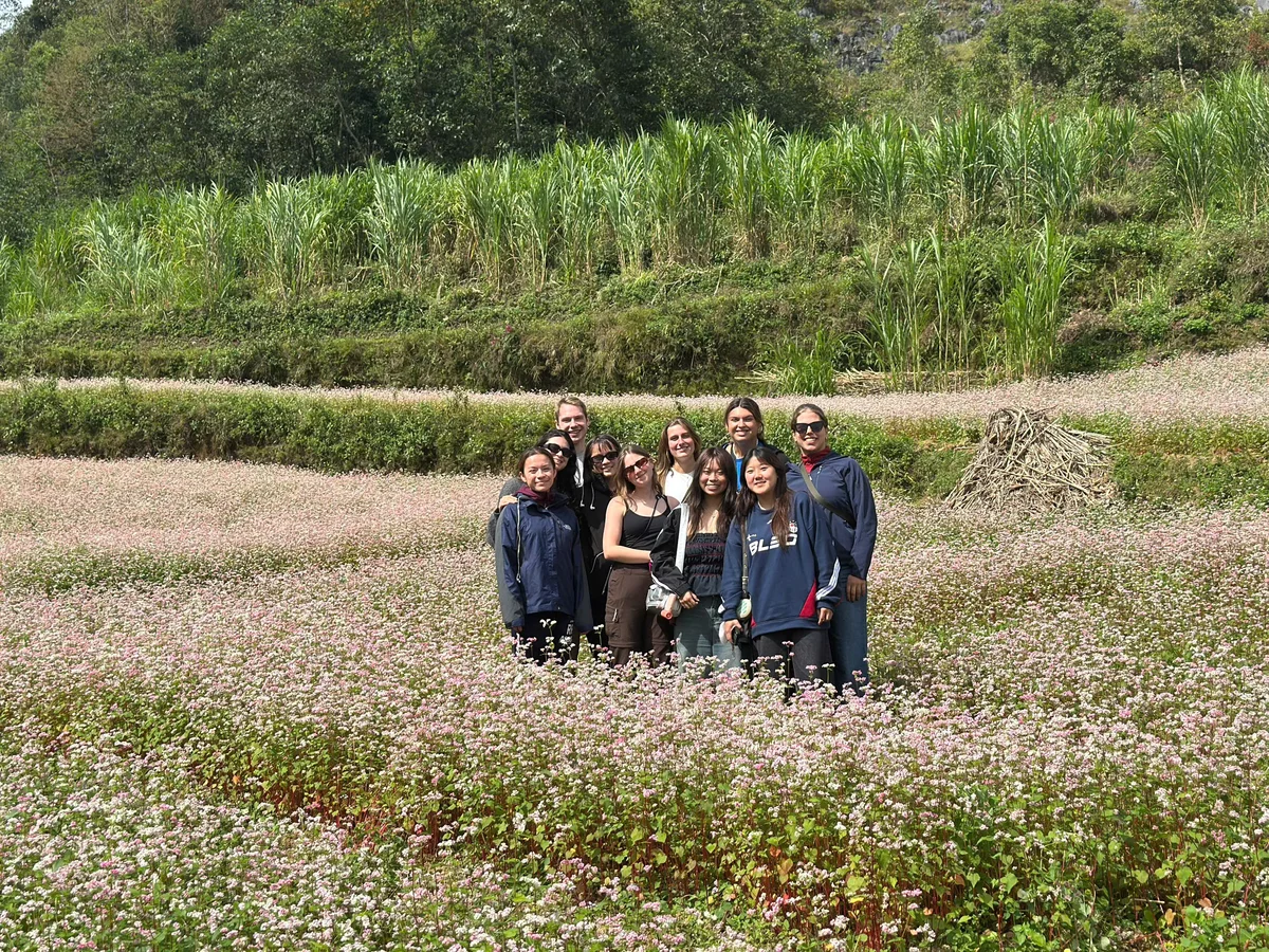 A group of people stand in the middle of a buckwheat flower field