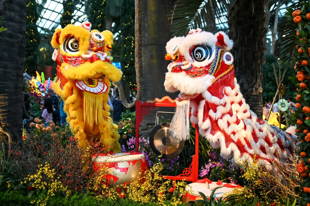 Culture Shock Moments in Vietnam: 39 Things That Will Surprise Every Traveler Visiting North Vietnam