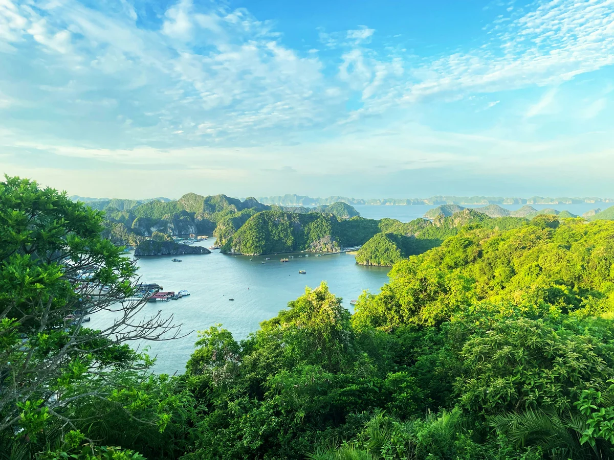 View of Cat Ba from Cat Ba National Park