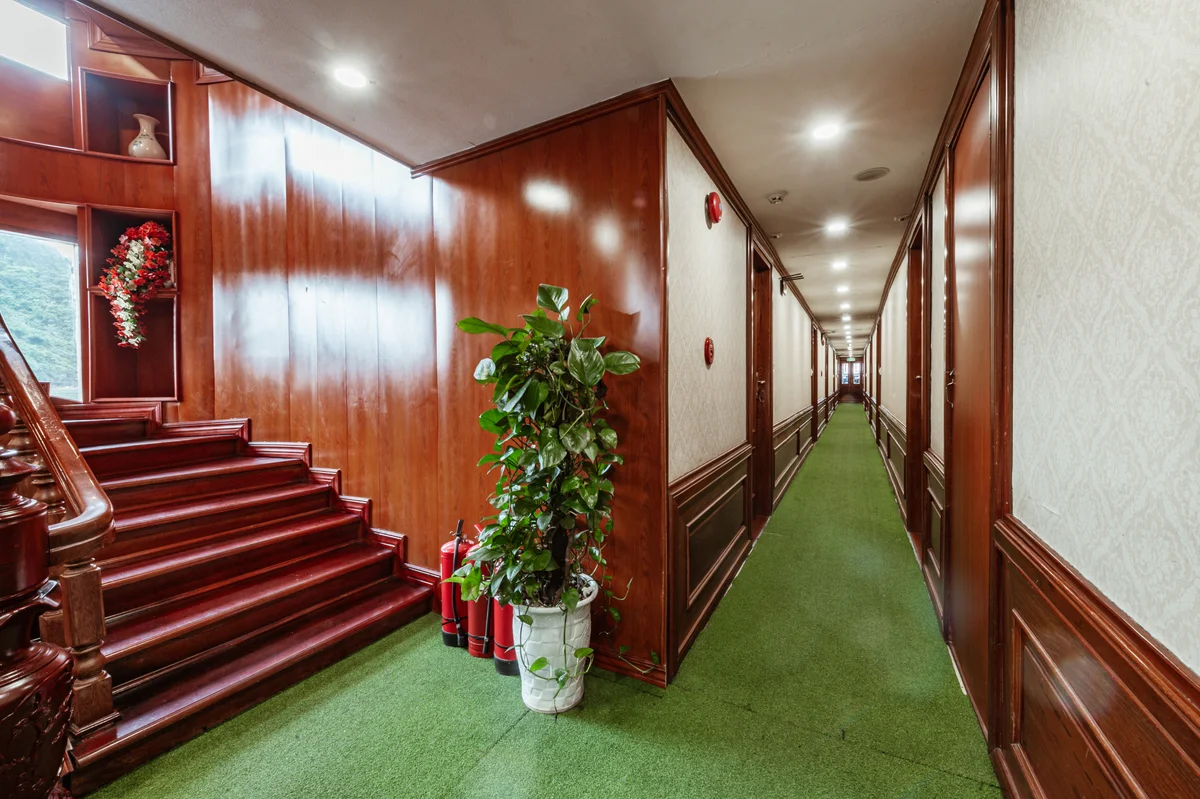 Gallery photo 11